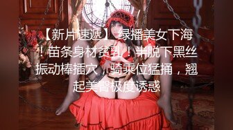 Layndare（Alina Lin）【62V】 (10)