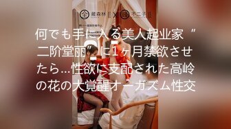 何でも手に入る美人起业家“二阶堂丽”に1ヶ月禁欲させたら…性欲に支配された高岭の花の大覚醒オーガズム性交