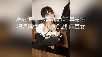 麻豆传媒-寂寞调酒站 单身酒吧调情性爱 纹身乱战 麻豆女神韩宝儿