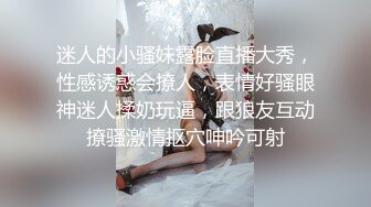 小彩虹的大长鸟