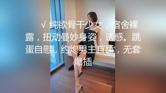 源码录制 气质出众的女神【agreeable-22】道具自慰，害我射了