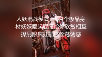 大鸡巴无套后入