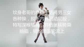 猫爪传媒 MMZ-060 装修工的报复 艳丽女神-赵一曼