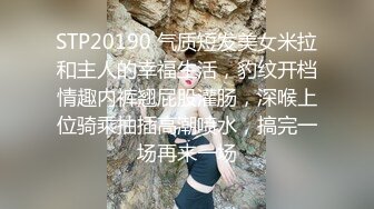 操人诛心约良家少妇一对一第二炮，近距离拍摄揉捏大奶子，上位骑乘扶着屁股后入，操完轮着给口交