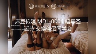 麻豆传媒 MDL-0004 暗黑圣诞节 交换伴侣同学会