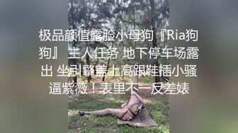 极品颜值露脸小母狗『Ria狗狗』 主人任务 地下停车场露出 坐引擎盖上高跟鞋插小骚逼紫薇！表里不一反差婊