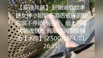 麻豆传媒 MPG0050 偷偷操上表哥媳妇 韩棠