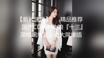 【AI换脸视频】李一桐  你的专属女仆