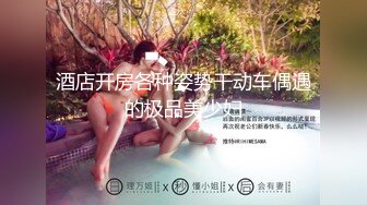 【AI换脸视频】李一桐《空姐日记》