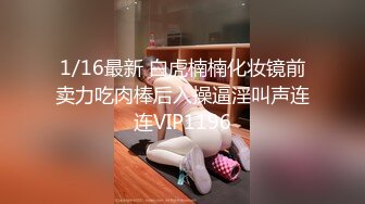   探花陈先生，深夜上门偷拍楼凤，极品大胸配上翘臀，含男根骚话连篇