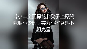 沙发上肏朋友的淫荡女友-模特-已婚-护士-大奶子