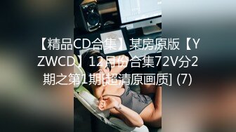 【精品CD合集】某房原版【YZWCD】12月份合集72V分2期之第1期[超清原画质] (7)