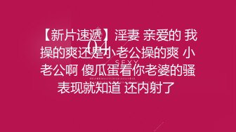 好久第一次看到公鸡，激动得停不下来