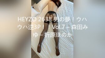 heyzo-0401