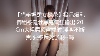 大像传媒之巨乳淫娃姊姊拯救早洩弟弟-娃娃