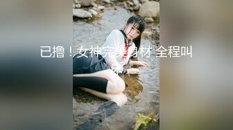 《极品反差_淫妻泄密》推特火爆淫荡翘臀骚母狗【芬姬夏妓】不雅私拍全集，公园露出调教野战潮喷大号道具紫薇淫水泛滥 (2)