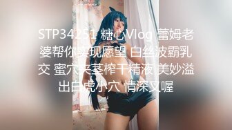 肉丝少妇第三段