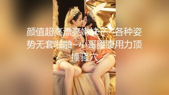 人妻交姦 2 ～W不倫に悶えるスワップ体験～ 横山みれい 北川エリカ