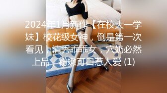 2024年1月新作【在校大一学妹】校花级女神，倒是第一次看见，清秀乖乖女，穴奶必然上品，粉嫩可口惹人爱 (1)