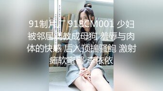 阿朱内部私购 NO.025 女仆与猫