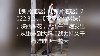 【Z先生】聚会认识的豪放东北女人叫床都很搞笑