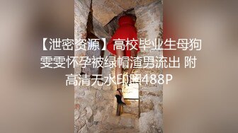 【泄密资源】高校毕业生母狗雯雯怀孕被绿帽渣男流出 附高清无水印照488P