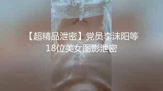 几年前的极品女友2