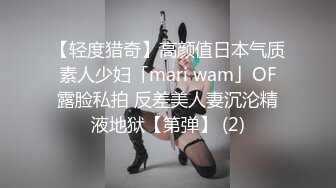 極品女模特唯美誘惑 (高清寫真視頻)