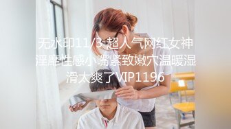 后入后入母狗小骚逼