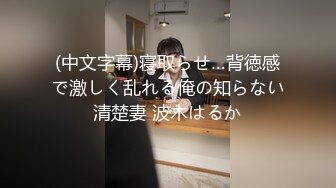 優しい素人奥さんが俺らの精子を旦那よりも愛しく飲んでくれる プレミアム精飲オフ会