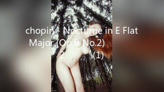 chopin - Nocturne in E Flat Major (Op.9 No.2) 쇼팽 녹턴 2번 야상곡(1)