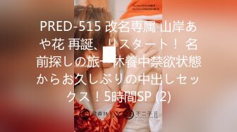 PRED-515 改名専属 山岸あや花 再誕、リスタート！ 名前探しの旅→休養中禁欲状態からお久しぶりの中出しセックス！5時間SP (2)