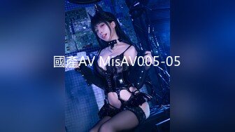 國產AV MisAV005-05