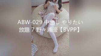 ABW-029 中出し やりたい放題 7 野々浦暖【BVPP】